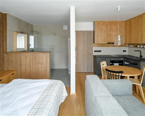 Byt - Apartmán 1kk, B1.5, Vítkovice  445, 51238, Vítkovice - Vítkovice