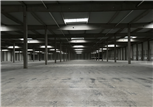 Skladový prostor - HUSTOPEČE - skladové prostory od 5 000 m2 - Starovice