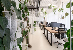 Prague Office Market Q4 2024